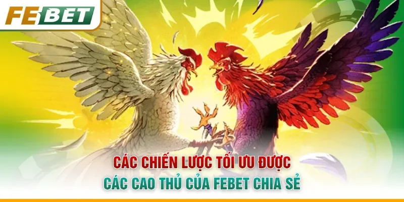Các chiến lược tối ưu được các cao thủ của Febet chia sẻ