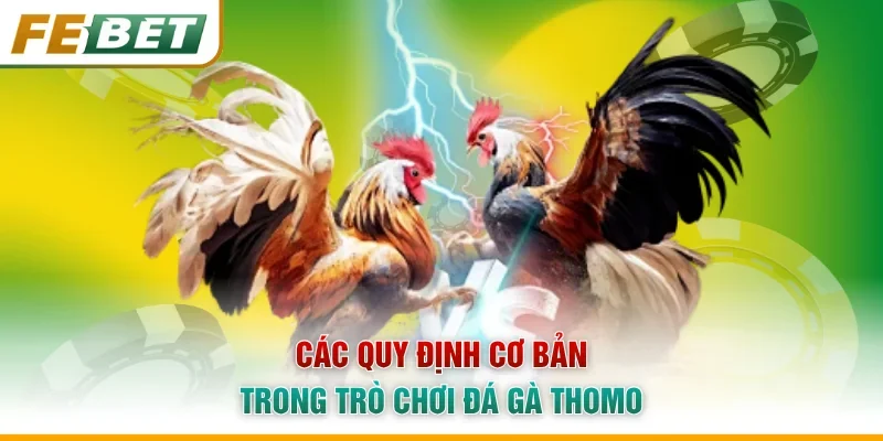 Các quy định cơ bản trong trò chơi đá gà Thomo