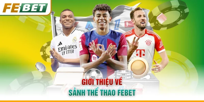 Giới thiệu về sảnh thể thao Febet