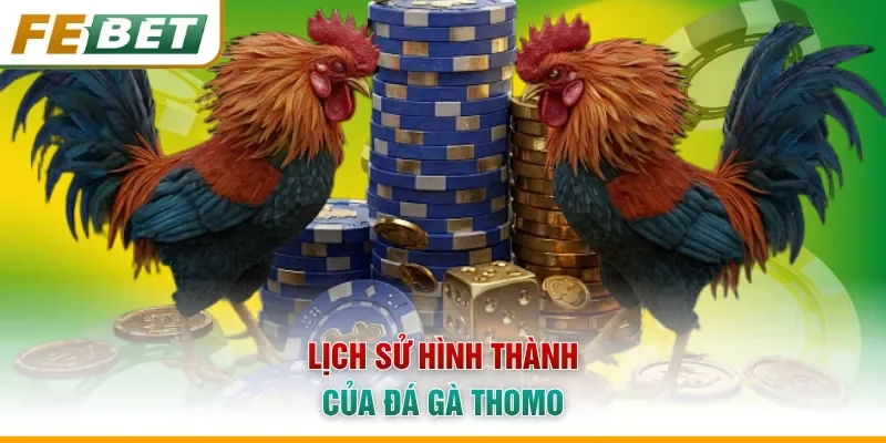 Lịch sử hình thành của đá gà Thomo